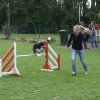 agility 2011-07-24